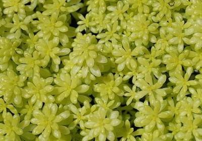 备胎的内涵句子(合集11句)