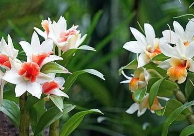 因病去世的句子(推荐50句)