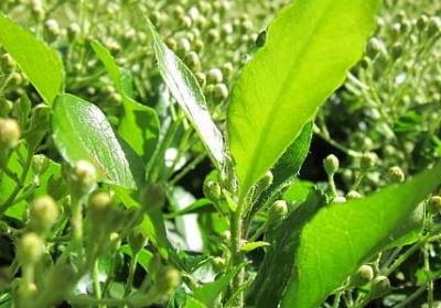 因果报应的句子(合集69句)