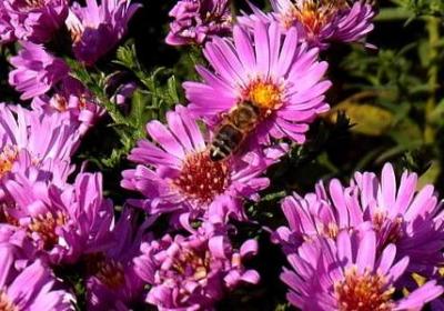 大吃一惊的句子(汇总89句)