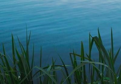 天蒙蒙亮的句子(共10句)