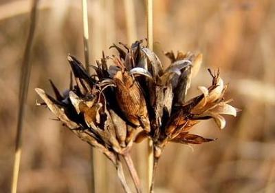 大方的句子(必备70句)