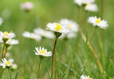 夸蛋糕好吃的句子(热门60句)