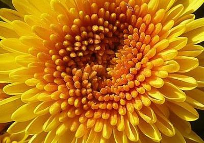 妖风来袭的幽默句子(50句)