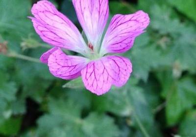 夸舅舅的句子(汇总60句)