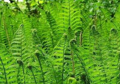 夸奖学生的句子(优选81句)