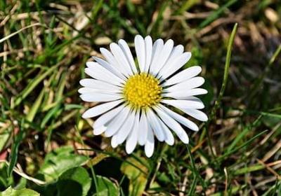 好吃的句子(40句)