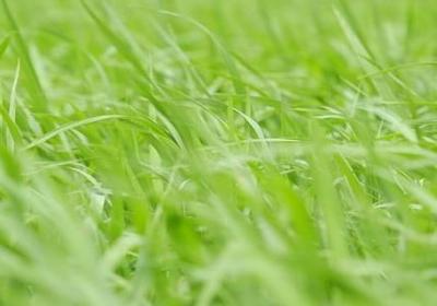 妻子对丈夫失望的句子(共50句)