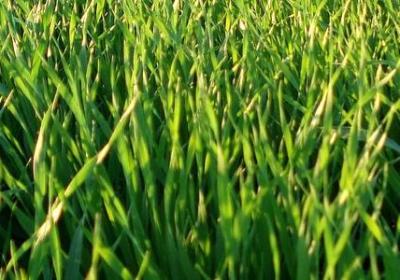 姑嫂情的句子(实用20句)