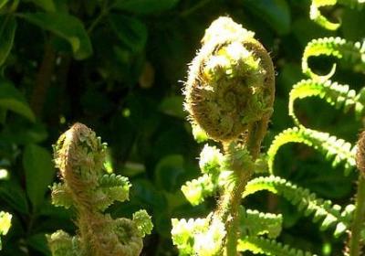 夸奖文采好的幽默句子(共50句)