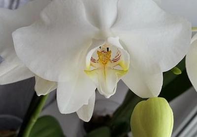 孝顺的句子(共51句)