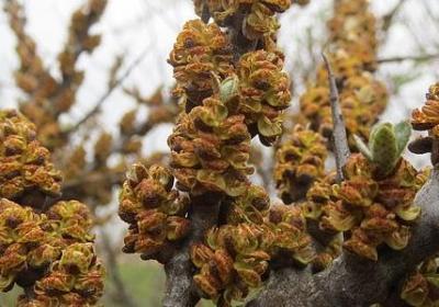 对妻子失望的句子(热门40句)