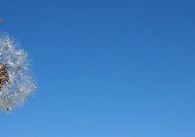 宝葫芦的秘密好句子(实用15句)