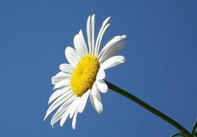 宽宏大量的句子(优选50句)