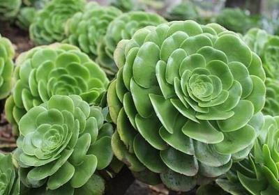 客户满意的句子(精选60句)