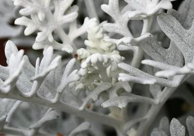 宾语补足语的句子(实用80句)