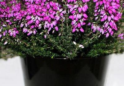 客户满意的正能量句子(实用10句)