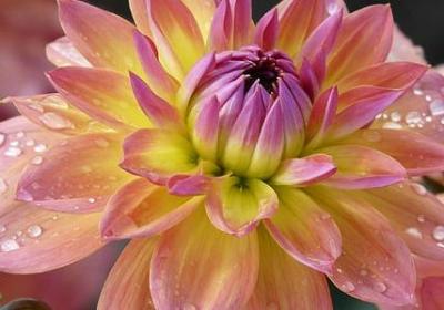 尘封记忆的唯美句子(实用50句)