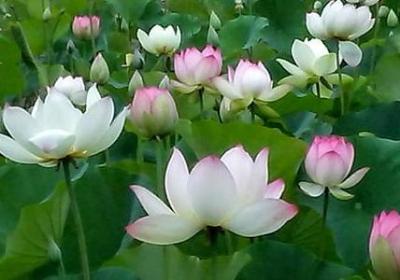 希望爱人安好的句子(热门40句)