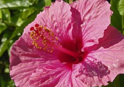 底线的句子(实用60句)