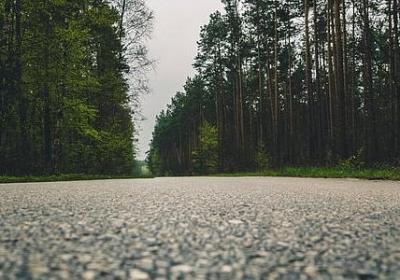 引用诗句的句子(优选49句)