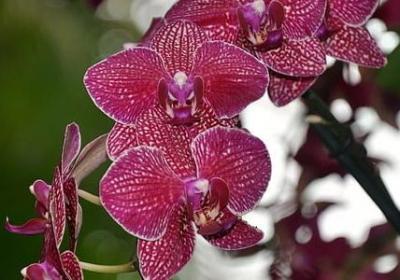 开豪车的经典句子(通用40句)