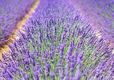 幼儿园句子简短的(精选88句)