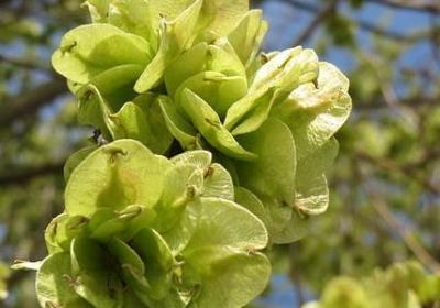 干净的句子(合集40句)