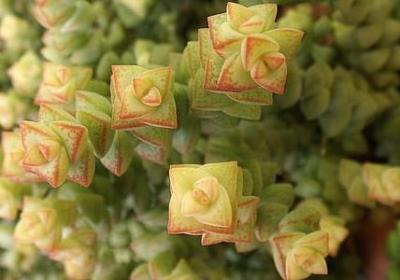 幼师对孩子的爱的句子(汇总60句)