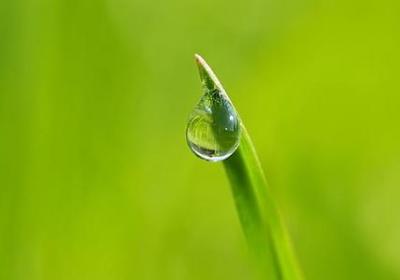 当兵的句子(精选50句)