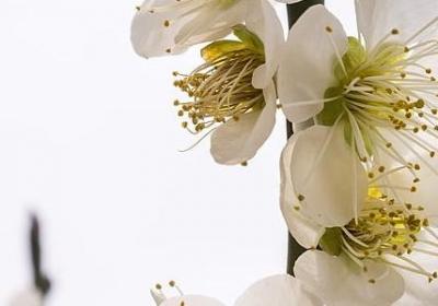 彩虹的正能量句子(合集50句)