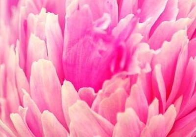 心灵鸡汤的句子(推荐50句)