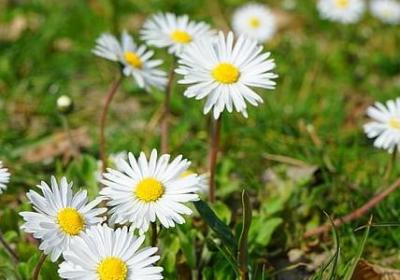 心灰意冷的句子(50句)