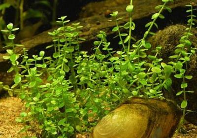 很酷的句子(必备31句)