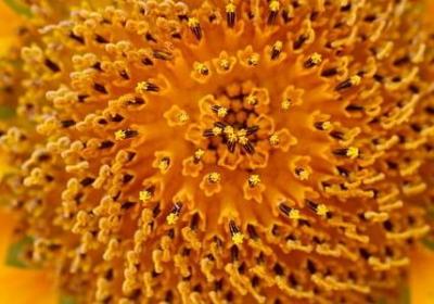 很反感一个人的句子(精选87句)