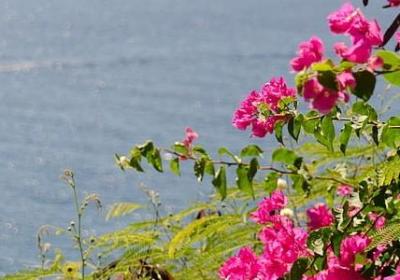 忙碌而又充实的句子(33句)