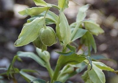 心凉到极点的句子(实用80句)