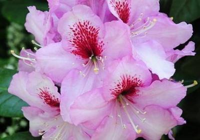 忙碌充实的一天的句子(热门40句)