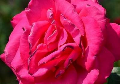 彻底绝望伤心的句子(汇总40句)