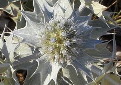 忘记人的句子说说心情(优选80句)