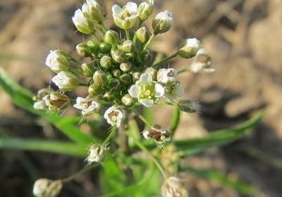 忘恩负义的句子(实用30句)