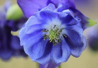 忙里偷闲的句子(优选90句)