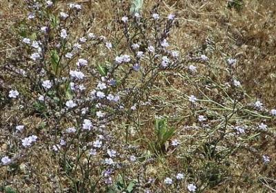 忙忙忙的句子说说心情(优选12句)