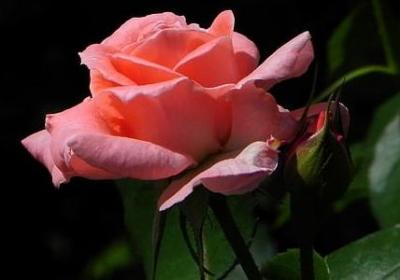 忙了一天很累的句子(热门50句)