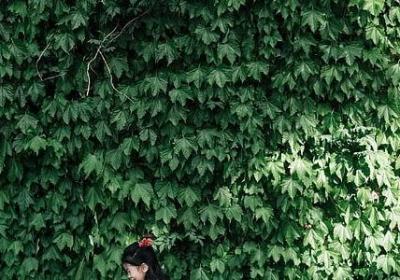 惦记一个人的句子(合集40句)