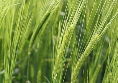 情和钱的句子(通用80句)