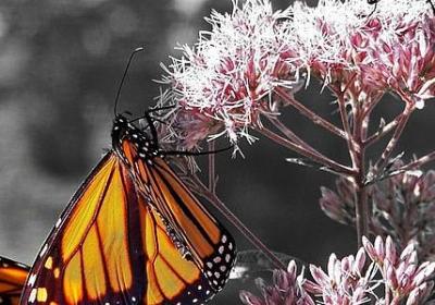 想象力的句子(优选60句)