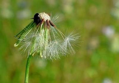 感同身受的句子(50句)