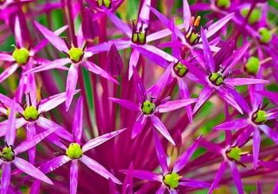 感悟人情冷暖的句子(优选70句)