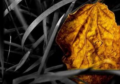 感悟十年的经典句子(40句)